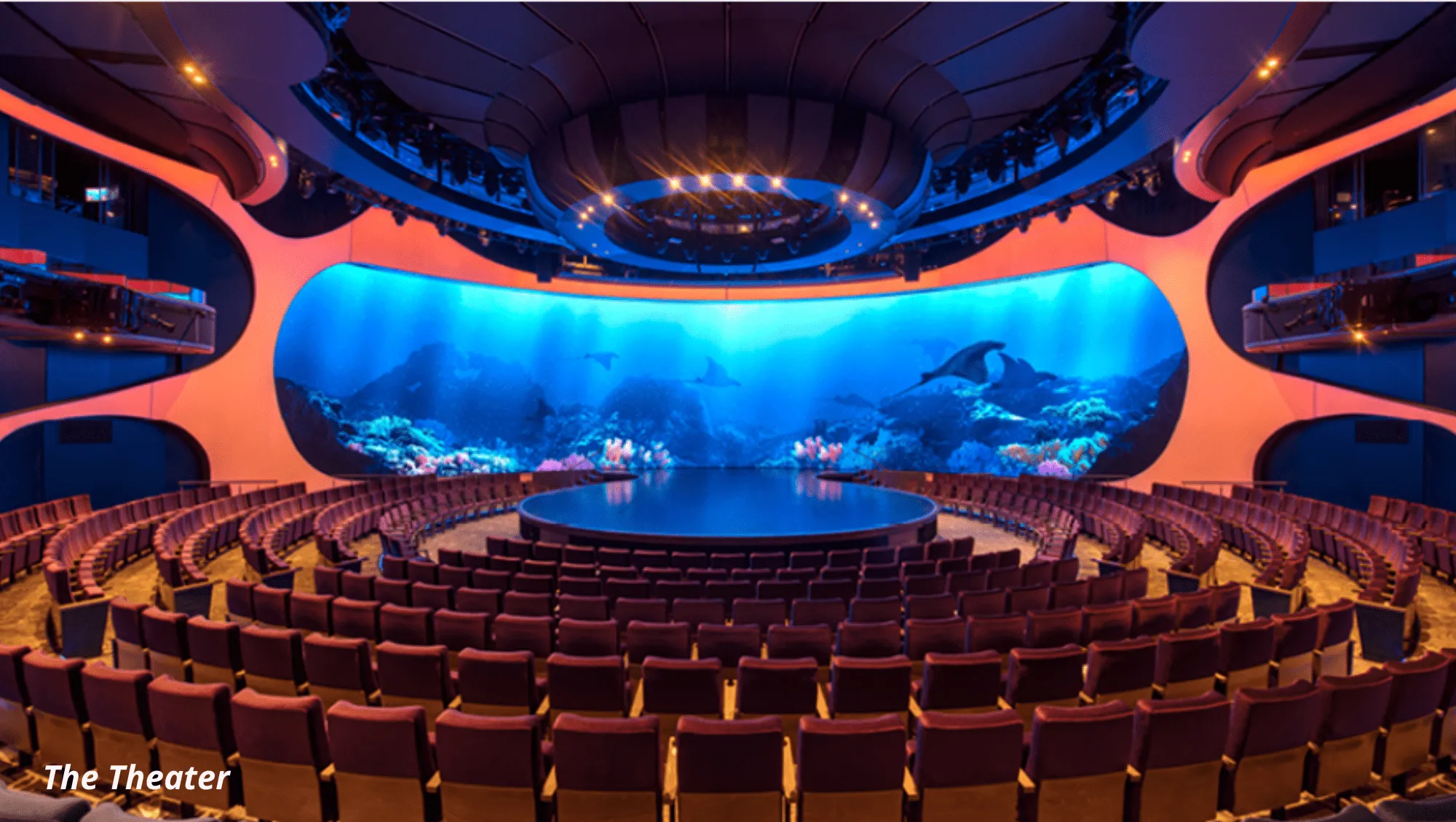 the celebrity apex inaugural 9 celebrity apex 7