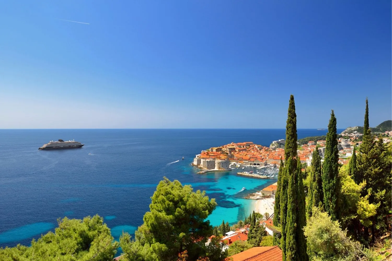 explora journeys cruise certificate: business reward innovation 4 explora journeys cruise certificate