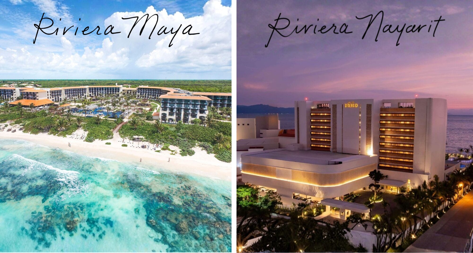 unico landing page new hero image